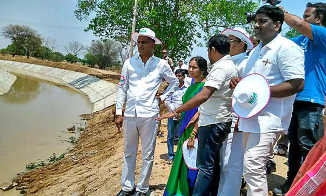 మహిళా కులీలతో కలిసి నాట్లు వేసిన ఎమ్మెల్యే మహిళా కులీలతో కలిసి నాట్లు వేసిన ఎమ్మెల్యే