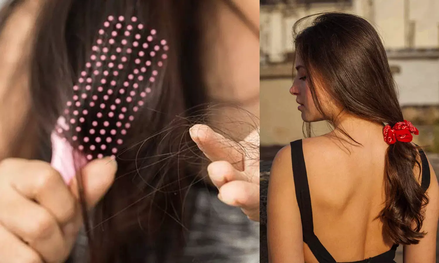 హెల్దీ హెయిర్ కోసం మీ డైట్లో ఈ ముఖ్యమైన పోషకాలు.. హెల్దీ హెయిర్ కోసం మీ డైట్లో ఈ ముఖ్యమైన పోషకాలు..