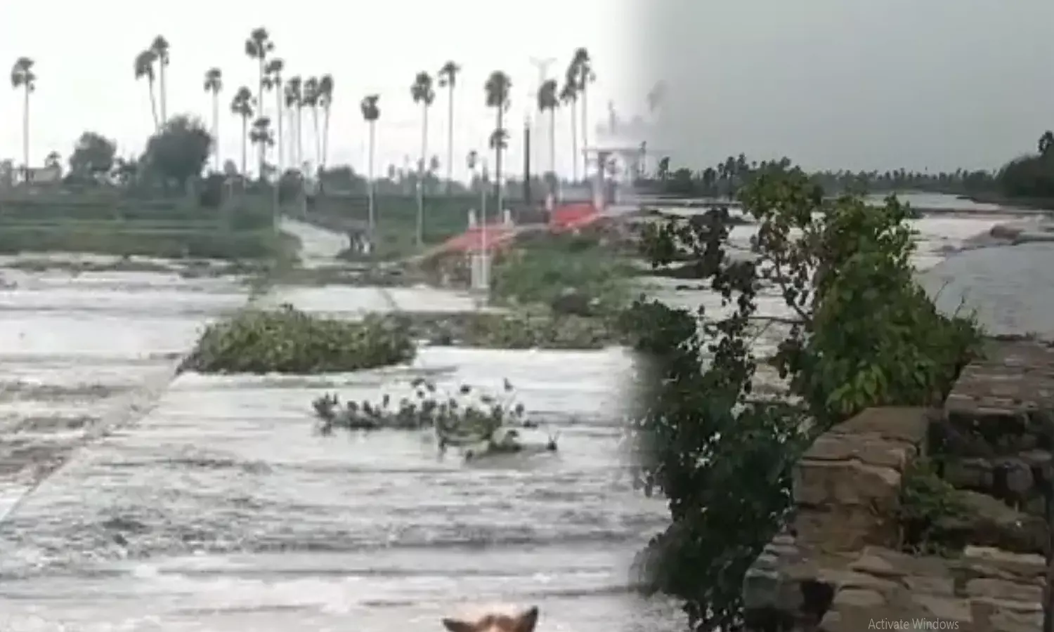 హైదరాబాద్లో భారీ వర్షాలు ఉప్పొంగిన మూసీ వాగు హైదరాబాద్లో భారీ వర్షాలు ఉప్పొంగిన మూసీ వాగు