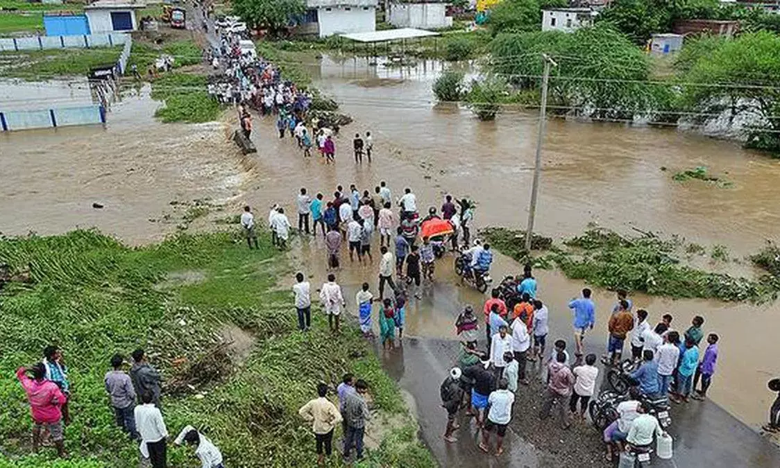 ఉమ్మడి ఆదిలాబాద్ జిల్లాలో జోరుగా వానలు ఉమ్మడి ఆదిలాబాద్ జిల్లాలో జోరుగా వానలు