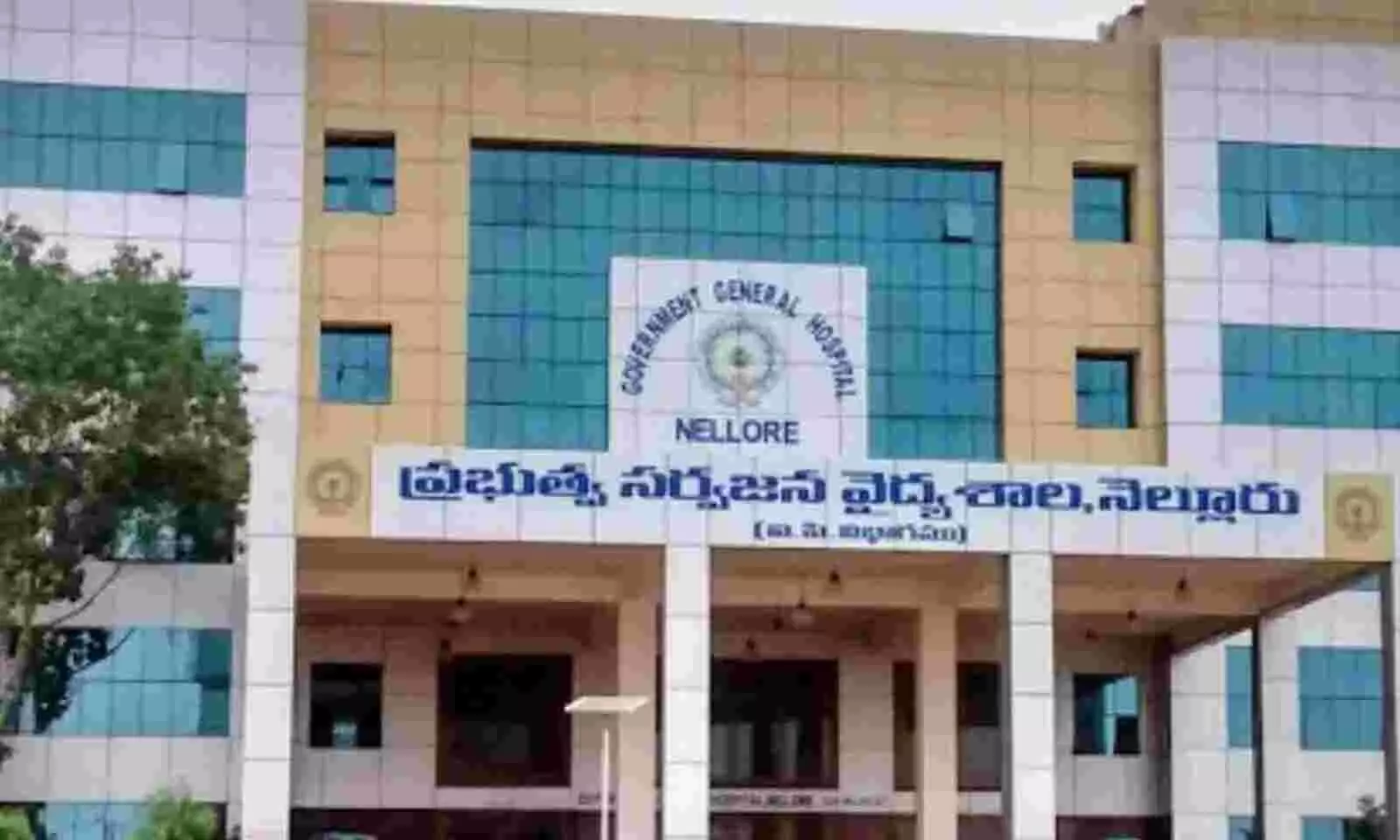 Nellore: జీజీహెచ్లో ఘోరం...MICUలో 8 మంది మృత్యువాత Nellore: జీజీహెచ్లో ఘోరం...MICUలో 8 మంది మృత్యువాత