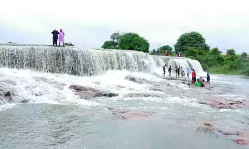 Shamshabad: పర్యాటకులను ఆకట్టుకుంటున్న నానాజీపూర్‌ వాటర్ ఫాల్స్
