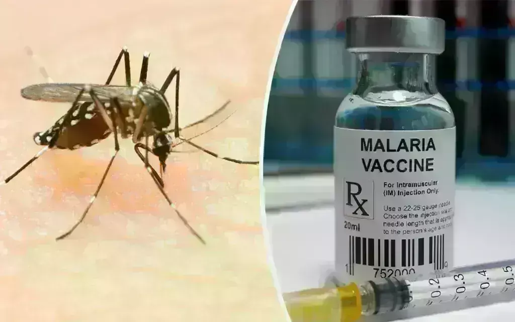Malaria alert: అధిక ఉష్ణోగ్రతలతో విస్తరిస్తున్న మలేరియా