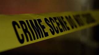 పిచ్చాసుపత్రి నుంచి వచ్చి తాతను, అమ్మమ్మను చంపాడు