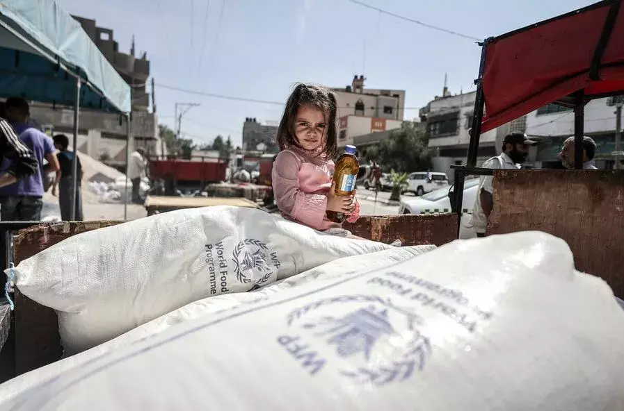 Global Food Crisis: ఆహార సంక్షోభం దిశగా....