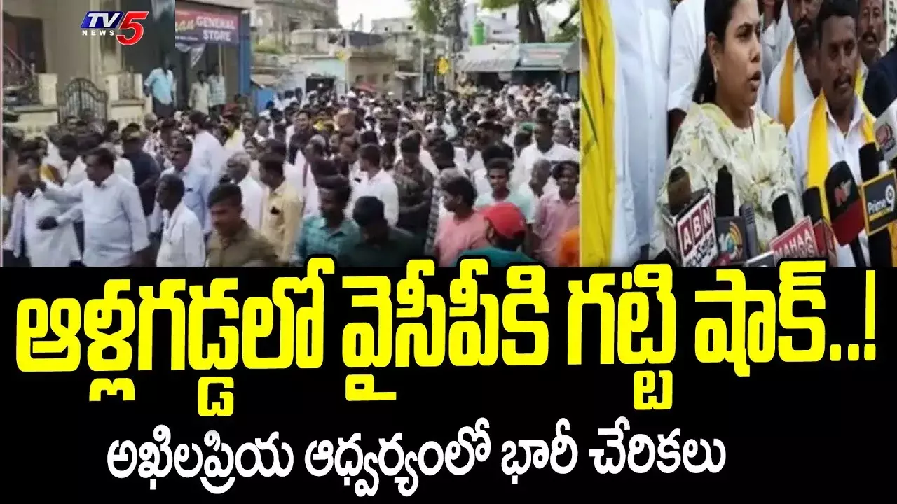 ఆళ్లగడ్డ నియోజకవర్గంలో వైసీపీకి గట్టి షాక్