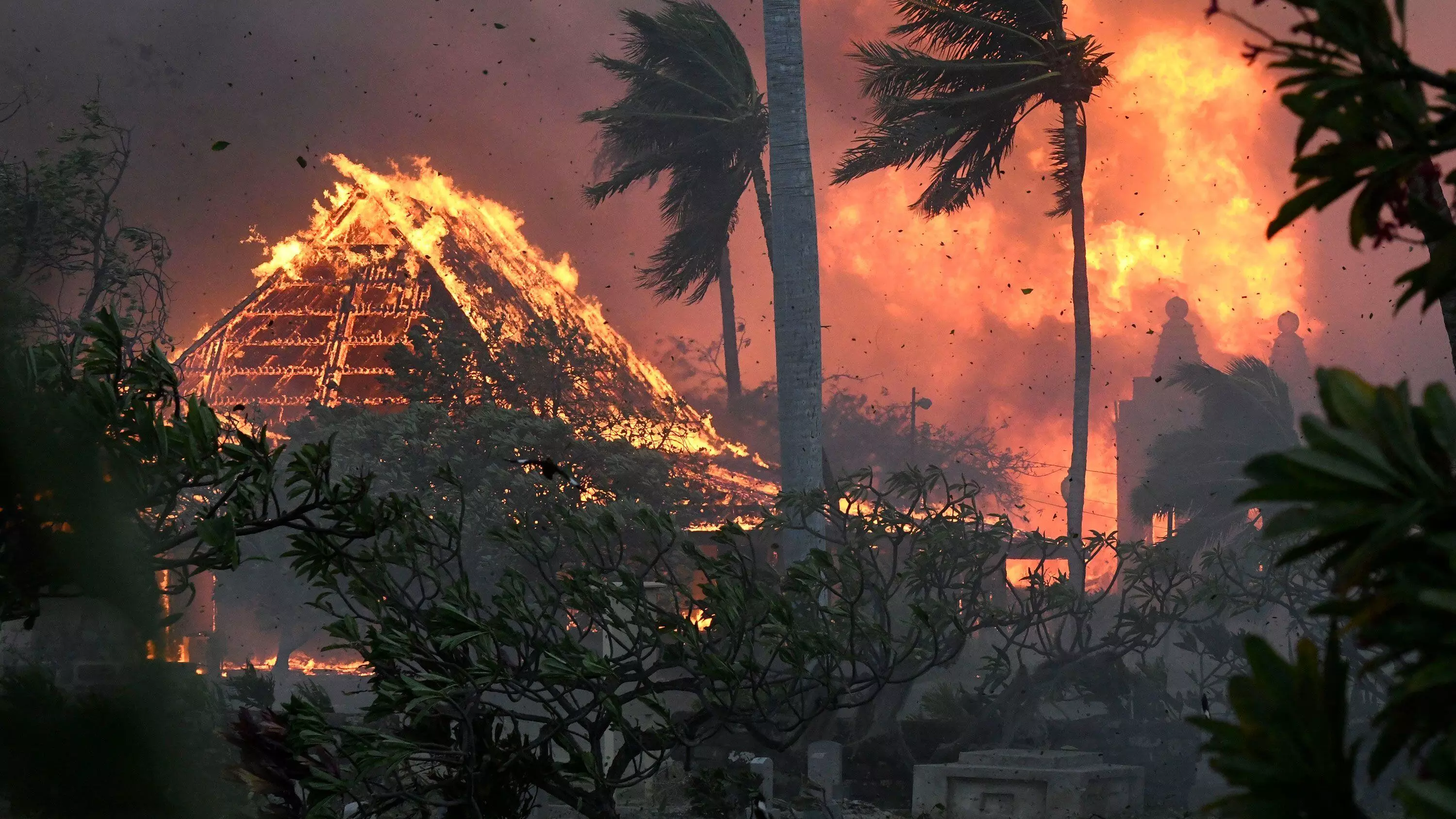 Wild fire : హవాయిలో కార్చిచ్చుకి 53 మంది సజీవ దహనం Wild fire : హవాయిలో కార్చిచ్చుకి 53 మంది సజీవ దహనం