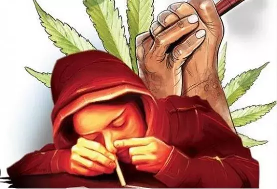 ఏపీలో విస్తృతంగా పెరుగుతున్న మాదక ద్రవ్యాల వినియోగం