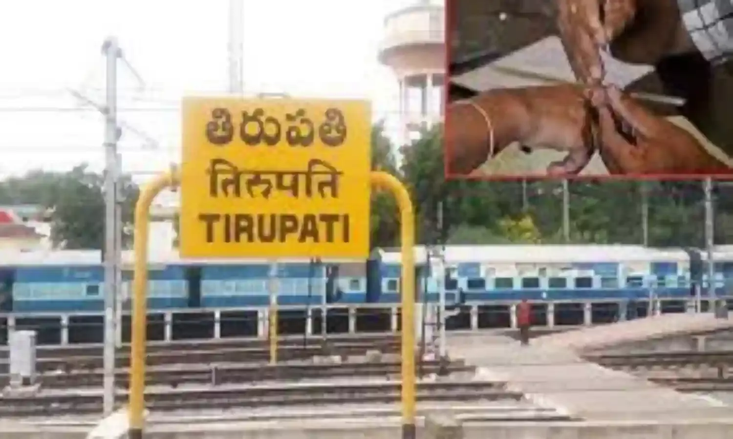 ఏపీలో ఎన్నికల ఏర్పాట్లలో అధికారులు; తిరుపతి చేరుకున్న ఈవీఎంలు ఏపీలో ఎన్నికల ఏర్పాట్లలో అధికారులు; తిరుపతి చేరుకున్న ఈవీఎంలు