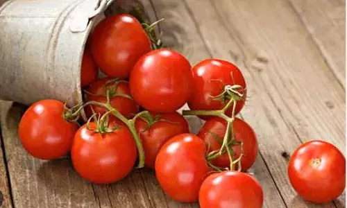 లోకల్‌, హైబ్రిడ్‌ రకాల టమాటా కిలో రూ.39కి లభ్యం