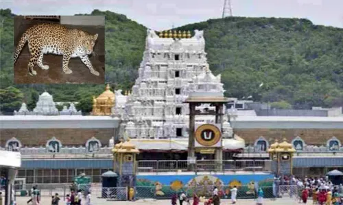 Tirumala: టీటీడీ అత్యవసర సమావేశం; చిరుతల దాడులతో అప్రమత్తమైన యంత్రాంగం Tirumala: టీటీడీ అత్యవసర సమావేశం; చిరుతల దాడులతో అప్రమత్తమైన యంత్రాంగం