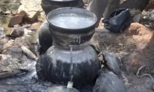 Krishna District: ఇంటివెనుక నాటుసారా కాస్తున్న వైసీపీ నేత