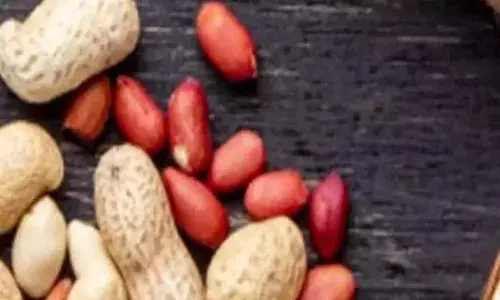 రెండేళ్ల చిన్నారి గొంతులో వేరుశనగ ఇరుక్కొని మృతి