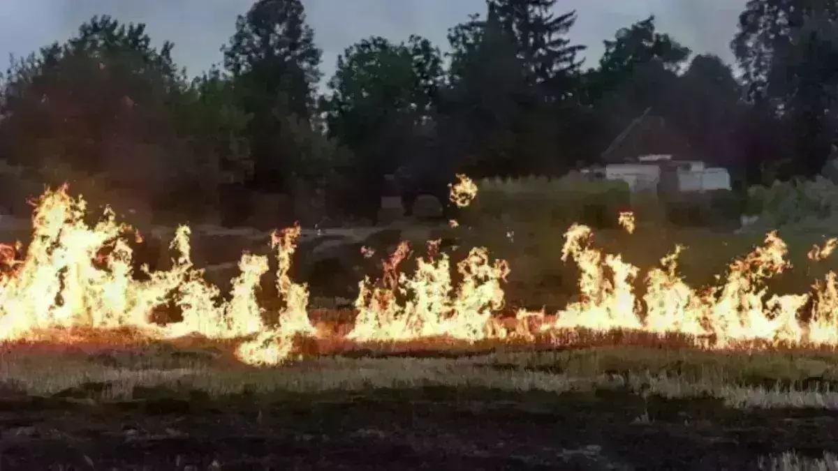 Hawaii : హవాయి కార్చిచ్చుకు నిర్లక్ష్యమే కారణమా Hawaii : హవాయి కార్చిచ్చుకు నిర్లక్ష్యమే కారణమా