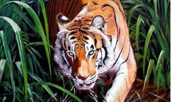 Tiger at Srikakulam: శ్రీకాకుళం జిల్లాలో పెద్దపులి సంచారం Tiger at Srikakulam: శ్రీకాకుళం జిల్లాలో పెద్దపులి సంచారం