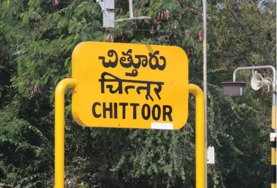 చిత్తూరు జిల్లాలో విద్యుత్‌ తీగలు తగిలి ఏనుగు మృతి