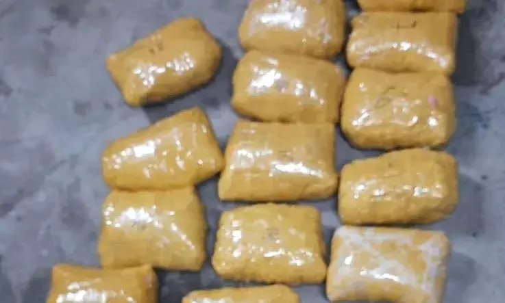 Panjab : పంజాబ్ లో ఇద్దరు పాక్ స్మగ్లర్లు అరెస్ట్