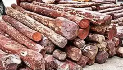 ఎర్రచందనంపై పోలీస్ ఉన్నతాధికారులతో సిట్‌ భేటీ