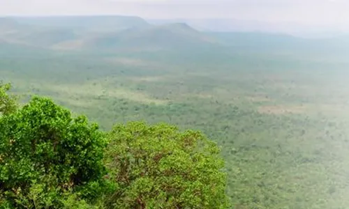 కృష్ణా జిల్లా అవనిగడ్డ నియోజకవర్గంలో ప్రకృతి వనరుల దోపిడీ