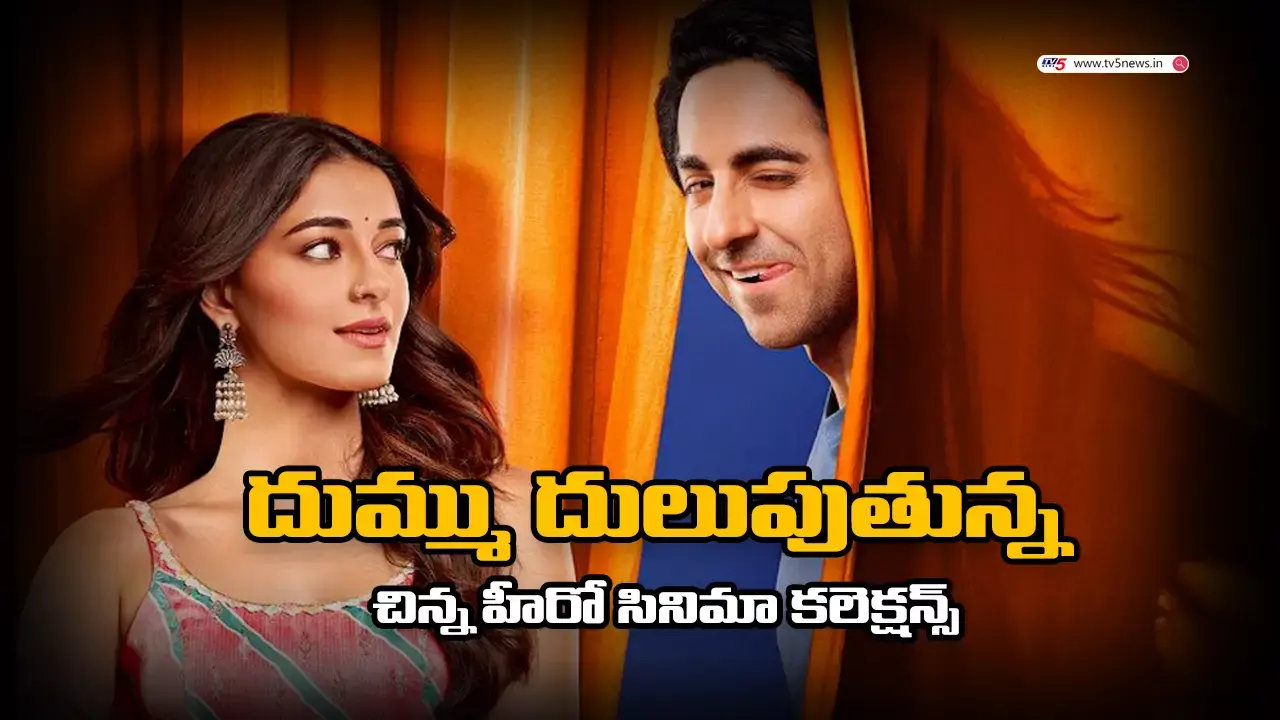 Dream Girl 2 : స్టార్ హీరోల మధ్య చిన్న సినిమా..!