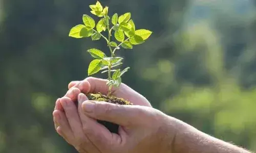 స్వాతంత్ర వజ్రోత్సవాల ముగింపు సందర్భంగా కోటి వృక్షార్చన స్వాతంత్ర వజ్రోత్సవాల ముగింపు సందర్భంగా కోటి వృక్షార్చన