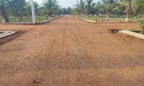 Anakapalli: విస్సన్నపేట లేఅవుట్‌లో బయటపడుతున్న పెద్దల పాత్ర