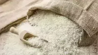 Rice Export: సింగపూర్ కు ఎగుమతులకు కేంద్రం ఓకే Rice Export: సింగపూర్ కు ఎగుమతులకు కేంద్రం ఓకే