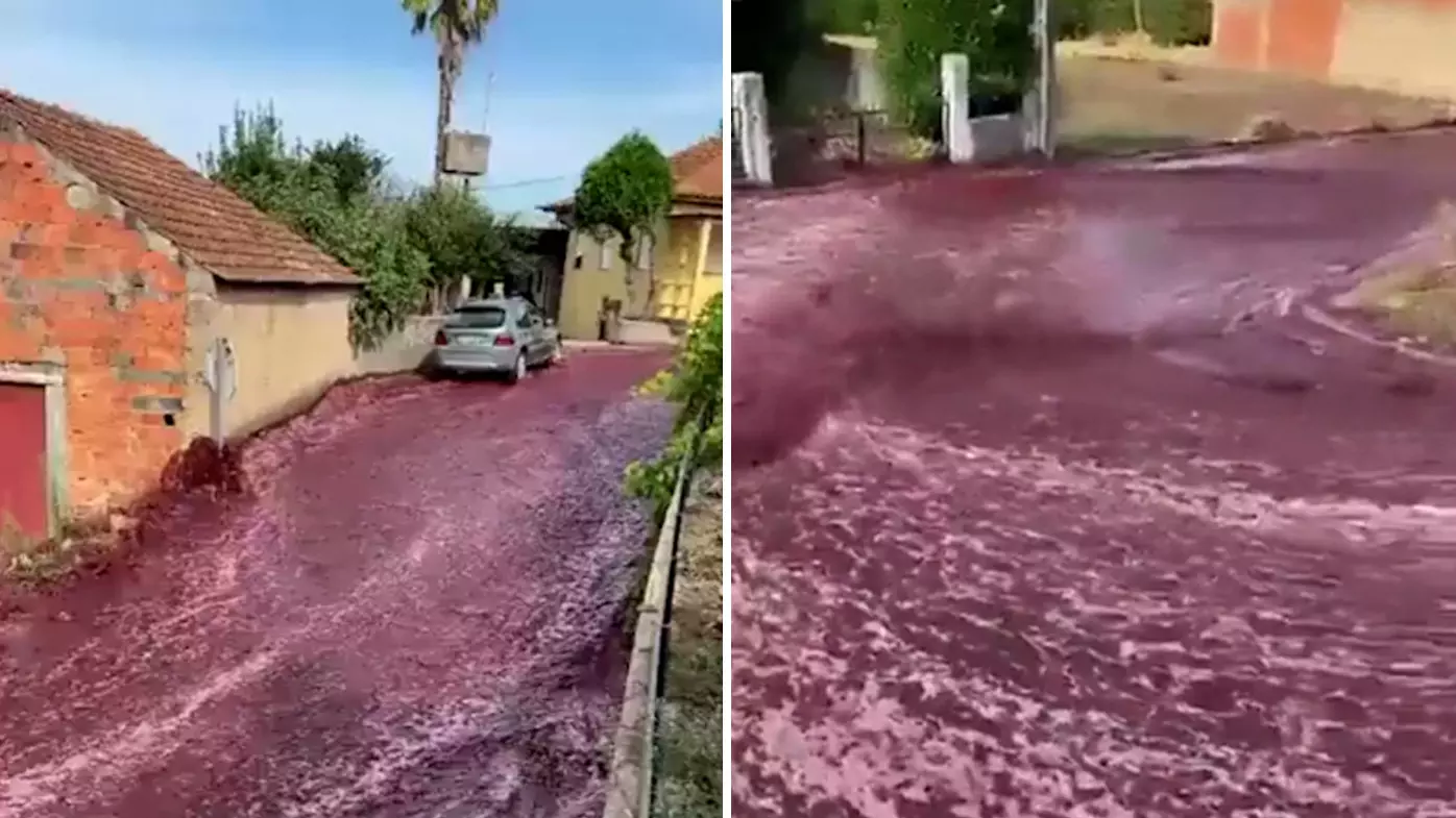 Red Wine: రెడ్ వైన్ వరద.. Red Wine: రెడ్ వైన్ వరద..