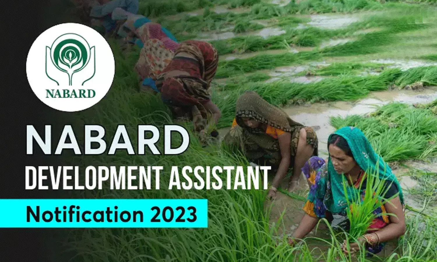 డిగ్రీ అర్హతతో NABARDలో గ్రేడ్ A పోస్టులు.. 150 పోస్టులకు నోటిఫికేషన్