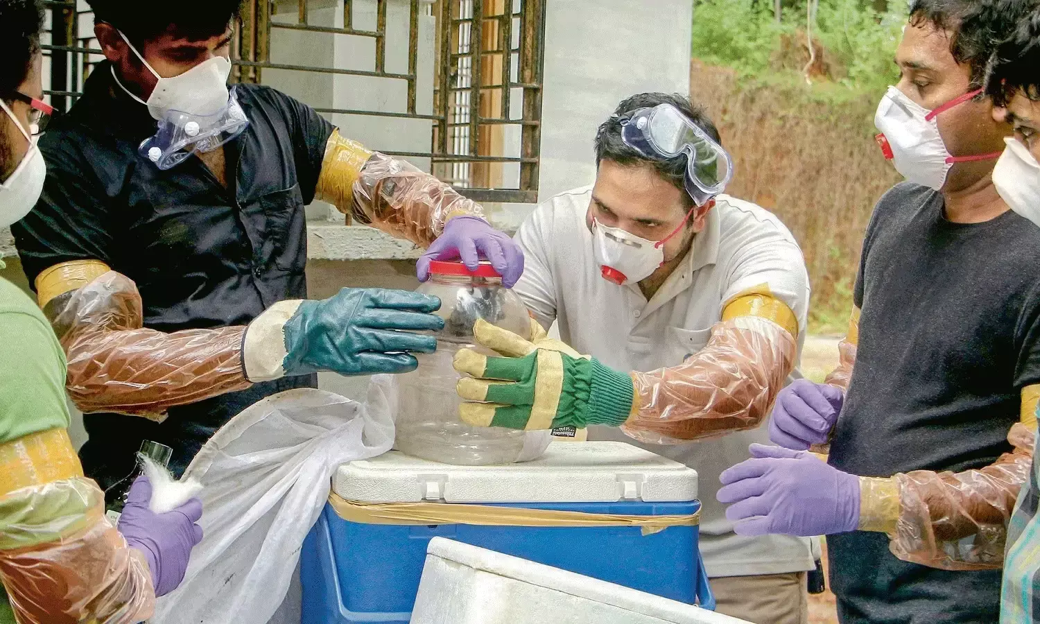 కోజికోడ్ జిల్లాలో నిఫా కలకలం.. కేరళకు చేరుకున్న వైరాలజీ బృందం కోజికోడ్ జిల్లాలో నిఫా కలకలం.. కేరళకు చేరుకున్న వైరాలజీ బృందం