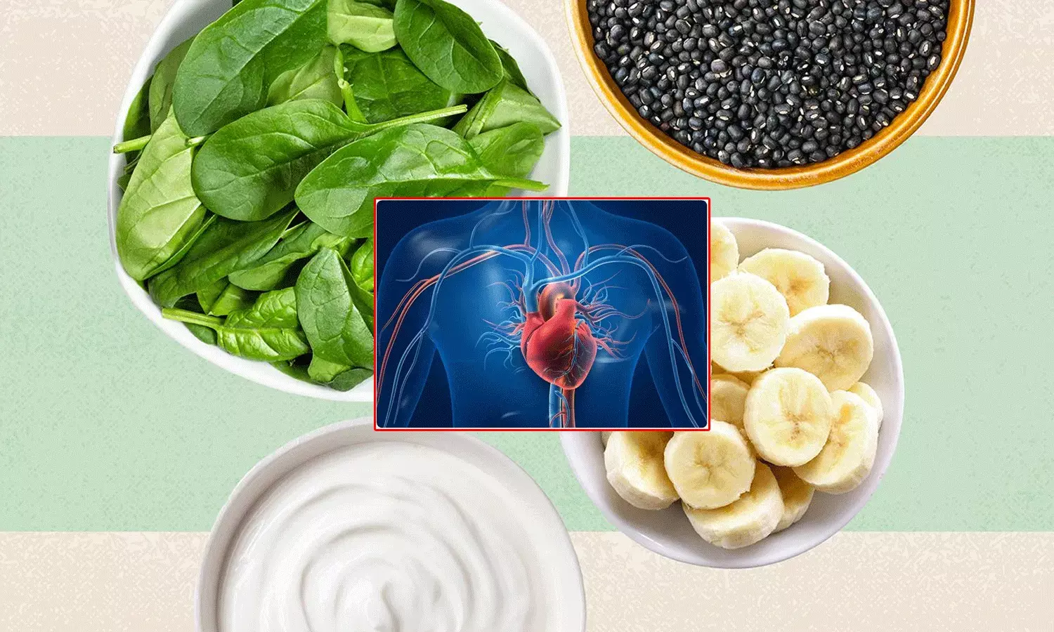 మెగ్నీషియం లోపంతో లయ తప్పుతున్న గుండె.. ఏఏ ఆహారాల్లో.. మెగ్నీషియం లోపంతో లయ తప్పుతున్న గుండె.. ఏఏ ఆహారాల్లో..