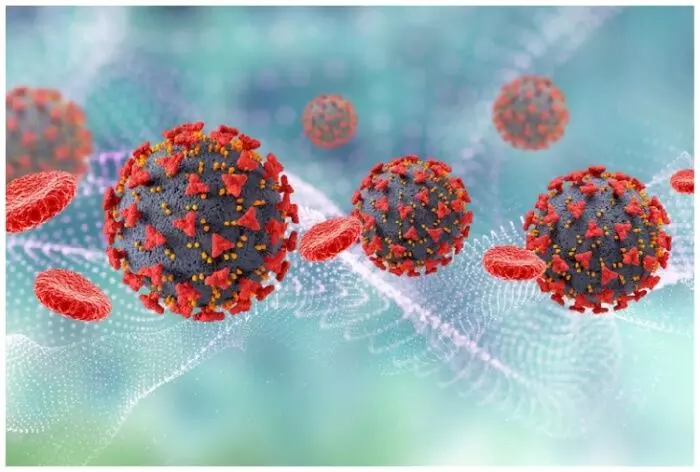 Nipah Virus : నిఫా వైరస్ అంటే ఏమిటి? అది ఎలా వ్యాపిస్తుంది? సంకేతాలు, లక్షణాలు Nipah Virus : నిఫా వైరస్ అంటే ఏమిటి? అది ఎలా వ్యాపిస్తుంది? సంకేతాలు, లక్షణాలు