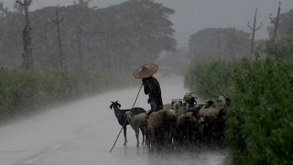 Monsoon: పేరుకే వానాకాలం.. చినుకులే తప్ప వర్షాలు లేవు Monsoon: పేరుకే వానాకాలం.. చినుకులే తప్ప వర్షాలు లేవు