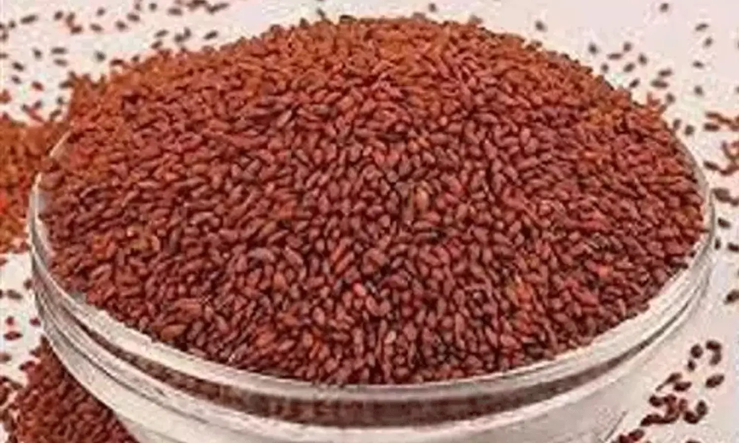 రక్తహీనతతో బాధపడుతున్నారా.. అయితే హలీమ్ విత్తనాలను ఆహారంలో.. రక్తహీనతతో బాధపడుతున్నారా.. అయితే హలీమ్ విత్తనాలను ఆహారంలో..