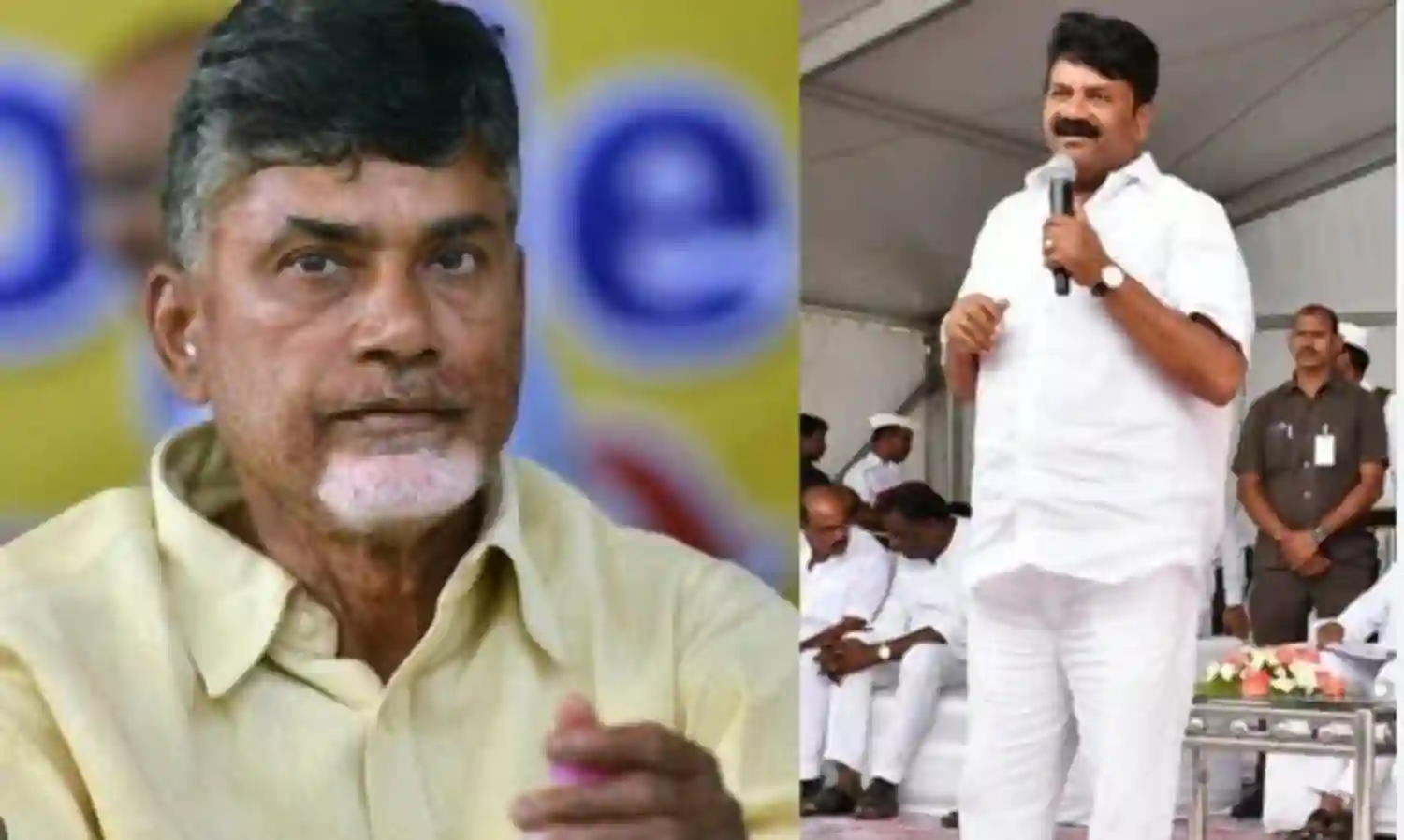 TALASANI: చంద్రబాబు అరెస్ట్ రాజకీయ కక్షే TALASANI: చంద్రబాబు అరెస్ట్ రాజకీయ కక్షే
