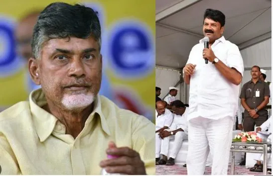 TALASANI: చంద్రబాబు అరెస్ట్ రాజకీయ కక్షే TALASANI: చంద్రబాబు అరెస్ట్ రాజకీయ కక్షే
