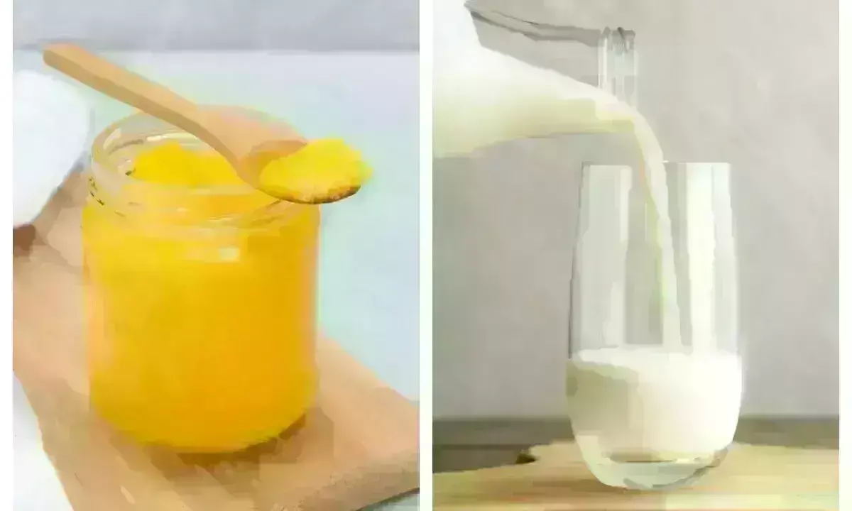 Gaining Muscle to Boosting Energy: నెయ్యితో పాలు కలిపి తీసుకుంటున్నారా.. Gaining Muscle to Boosting Energy: నెయ్యితో పాలు కలిపి తీసుకుంటున్నారా..