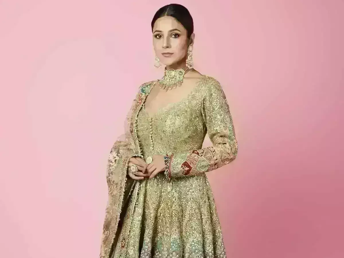 Shehnaaz Gill : ఆస్పత్రిలో చేరిన బాలీవుడ్ నటి