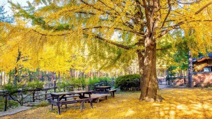 Best Places to Visit in November : నవంబర్లో సందర్శించాల్సిన బెస్ట్ ప్లేసెస్ Best Places to Visit in November : నవంబర్లో సందర్శించాల్సిన బెస్ట్ ప్లేసెస్