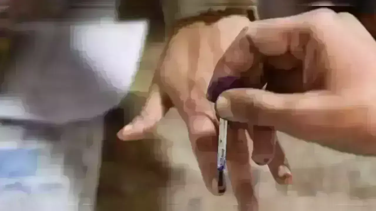 Home  voting:  ఇంటి నుంచే ఓటు పద్ధతి ఏంటంటే