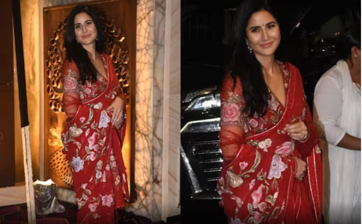 Katrina Kaif : కత్రినా కైఫ్ ప్రెగ్నెంట్?.. వీడియో వైరల్