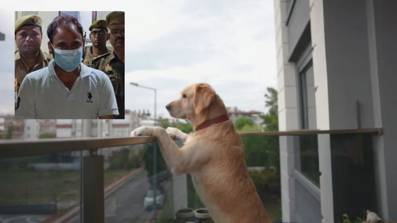 Greater Noida: మద్యం మత్తులో కుక్కపై అత్యాచారం