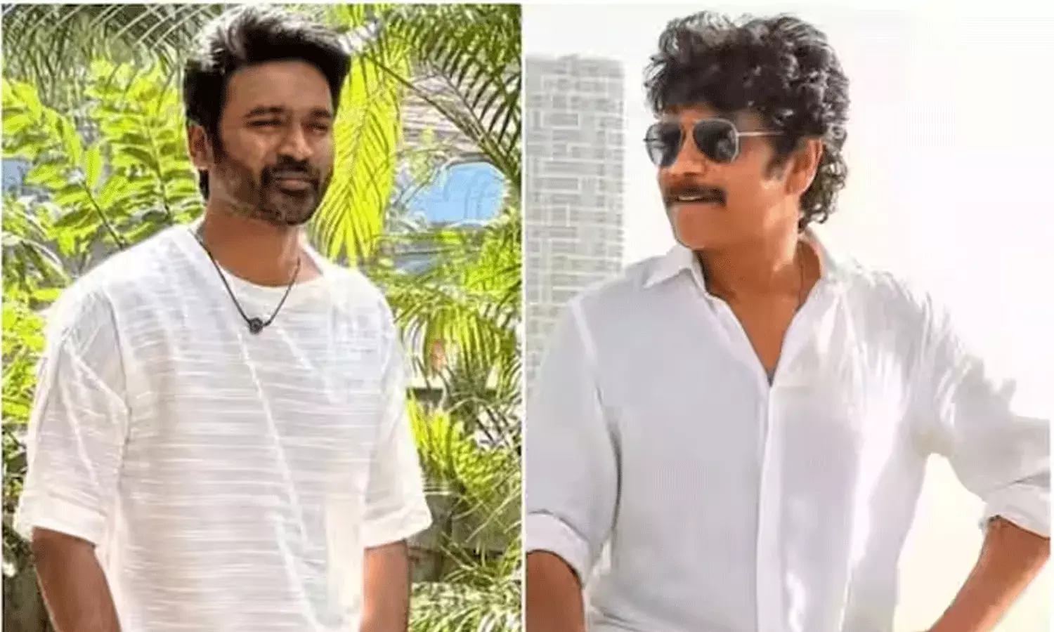 శేఖర్ కమ్ములతో ధనుష్ డి 51.. నాగార్జున కీలక రోల్