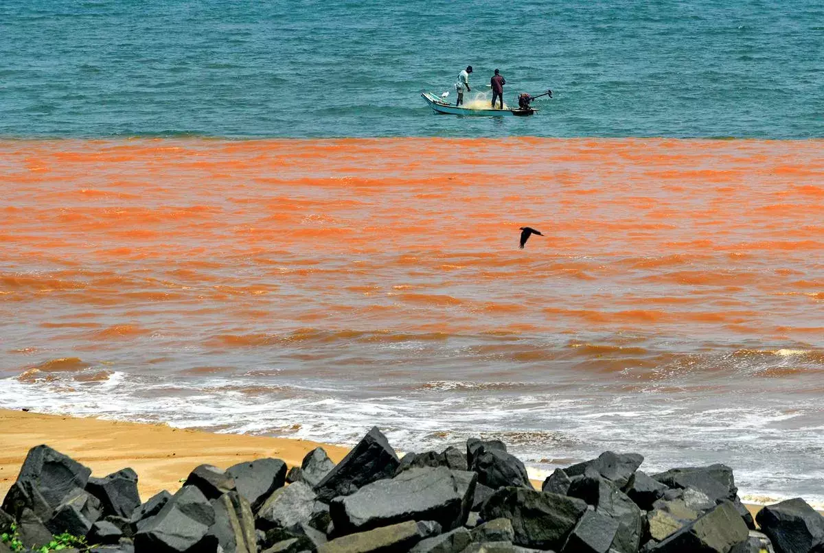 Puducherry:  ఎరుపెక్కిన సముద్రం..! ఆందోళనలో  స్థానికులు, పర్యాటకులు. Puducherry:  ఎరుపెక్కిన సముద్రం..! ఆందోళనలో  స్థానికులు, పర్యాటకులు.