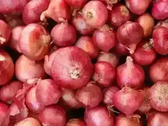 Onion Prices : కిలో ఉల్లి రూ.25కే..
