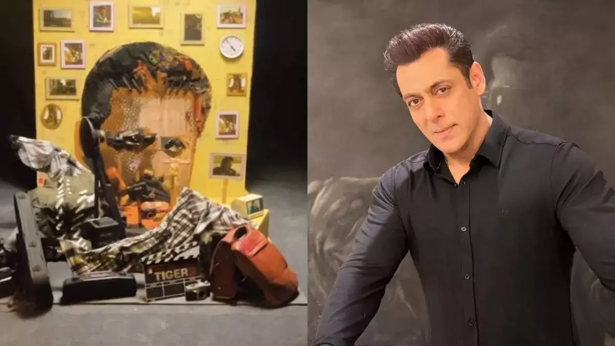 Tiger 3 Illusion Art : ఇల్యూజన్ ఆర్ట్ కు సల్మాన్ ఫిదా