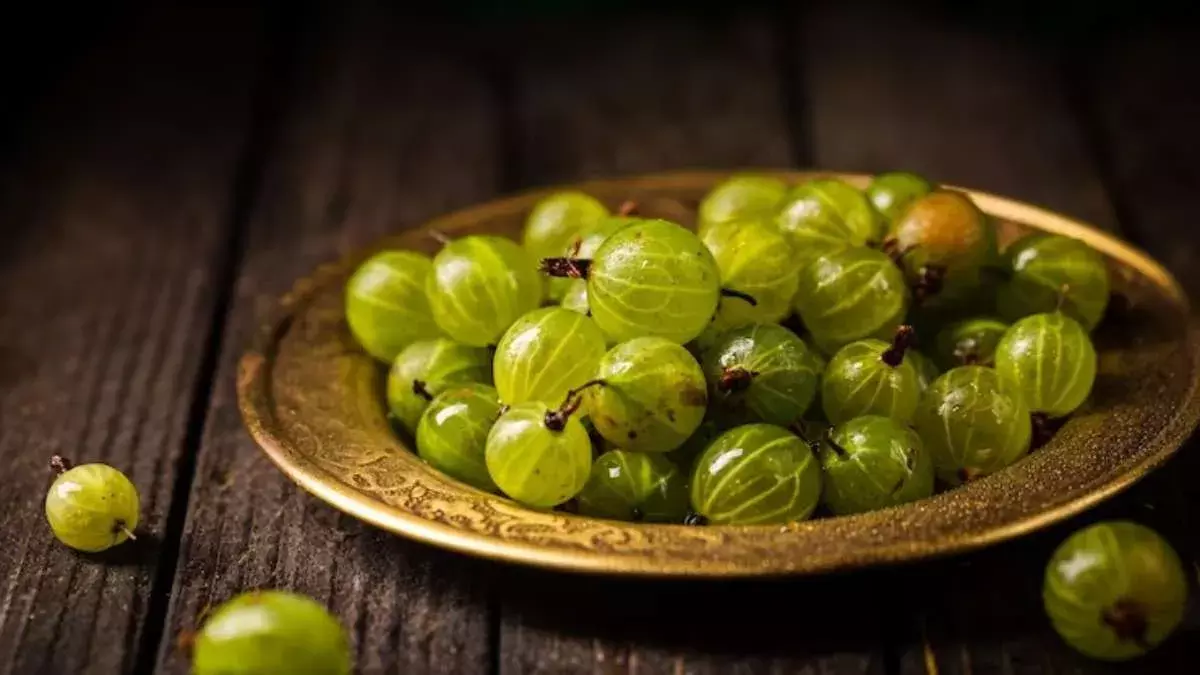 Superfood Amla: ఇండియన్ గూస్ బెర్రీతో అద్భుతమైన ప్రయోజనాలు Superfood Amla: ఇండియన్ గూస్ బెర్రీతో అద్భుతమైన ప్రయోజనాలు