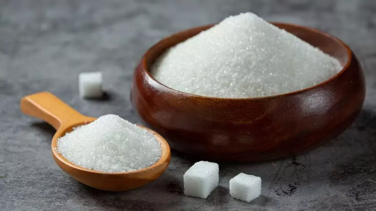 Substitutes of Refined Sugar : మధుమేహం ఉన్నవారు చక్కెరకు బదులుగా వీటిని తీస్కోవచ్చు Substitutes of Refined Sugar : మధుమేహం ఉన్నవారు చక్కెరకు బదులుగా వీటిని తీస్కోవచ్చు