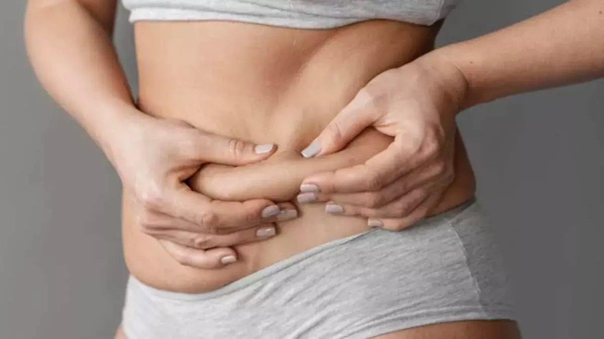 Berries to Greek yogurt: బెల్లీ ఫ్యాట్ ను తగ్గించే బెస్ట్ ఫుడ్ ఐటెమ్స్ ఇవే Berries to Greek yogurt: బెల్లీ ఫ్యాట్ ను తగ్గించే బెస్ట్ ఫుడ్ ఐటెమ్స్ ఇవే