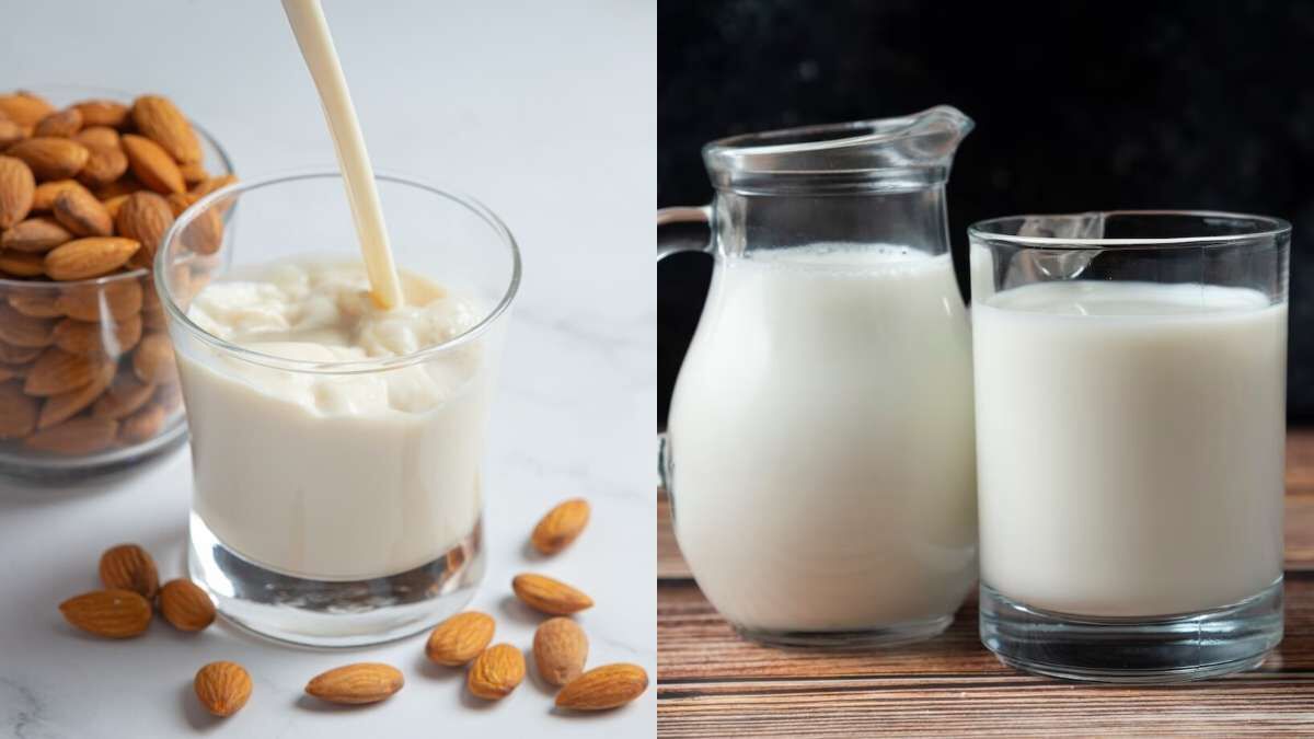Almond vs Regular milk ఆరోగ్యానికి ఏది మంచిదంటే.. Almond vs Regular
